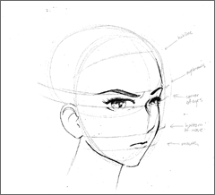 Anime Face Shape